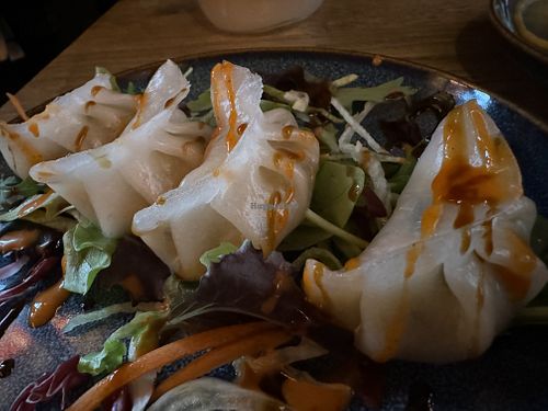 dumplings  at GAO Vegan in Leipzig