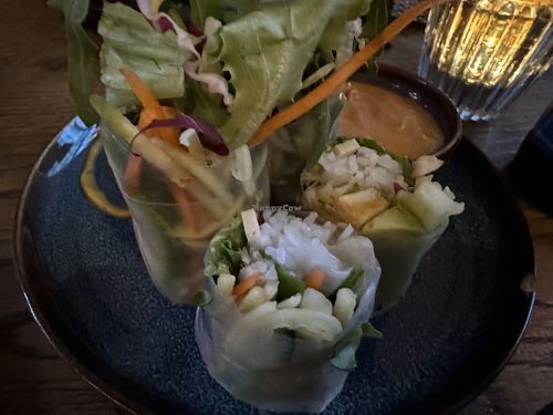summer rolls  at GAO Vegan in Leipzig