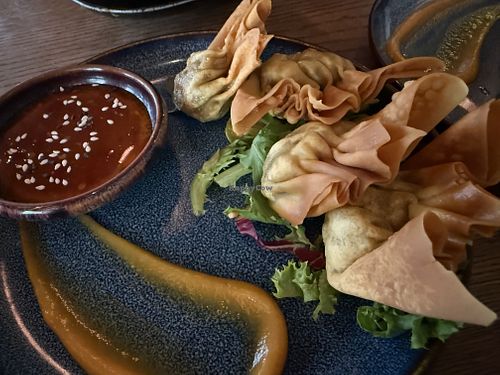 dumplings fried  at GAO Vegan in Leipzig