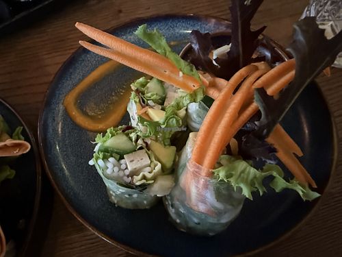 summer rolls  at GAO Vegan in Leipzig