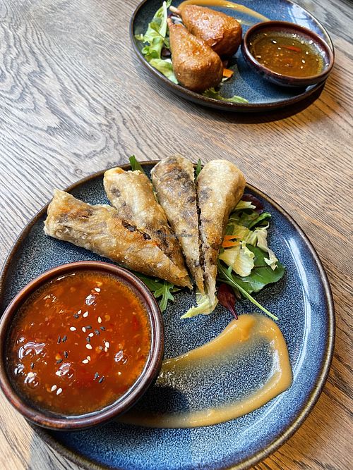 Spring Rolls  at GAO Vegan in Leipzig