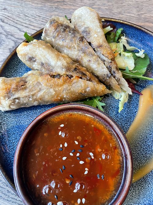 Spring Rolls  at GAO Vegan in Leipzig