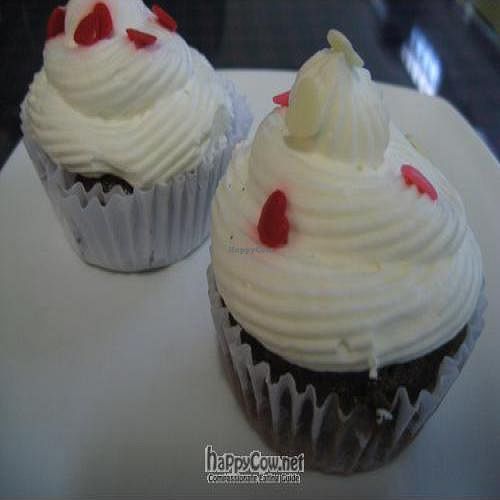 Vegan cupcakes! at Mug Cafe in Santiago