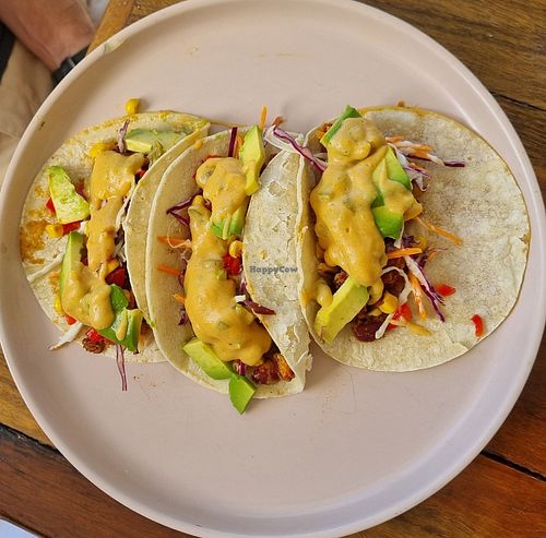 Breakfast Tacos at Enoki Coffee & Co in Stafford Heights