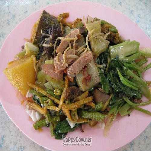 Plate of food from buffet at Yota Vegetarian Foods in Phuket