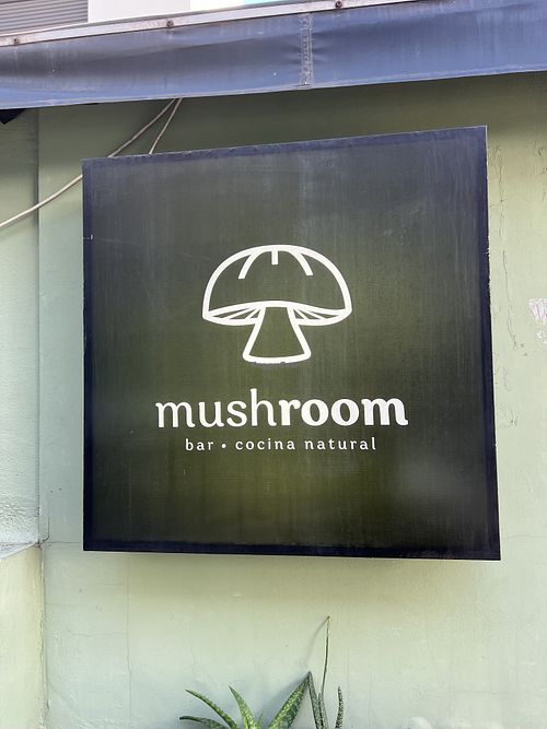   at Mushroom Bar in Montevideo