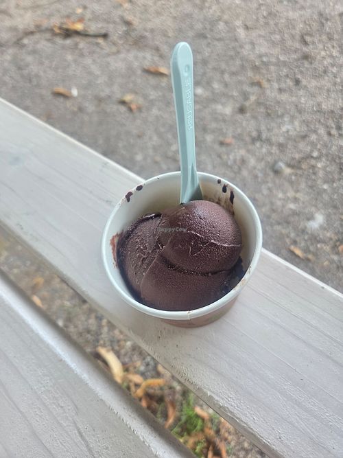  at Eispavillon am Kurpark Eiscafé in Horn-bad Meinberg