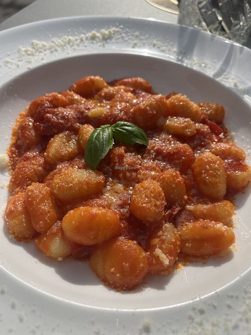 “vegan” Gnocchi (served with cheese…)  13,50€  at Bistro Liszt in Merano