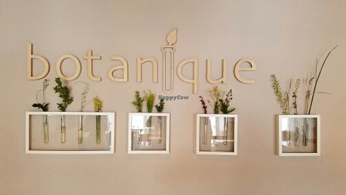 plants on wall at Botanique in Vilnius