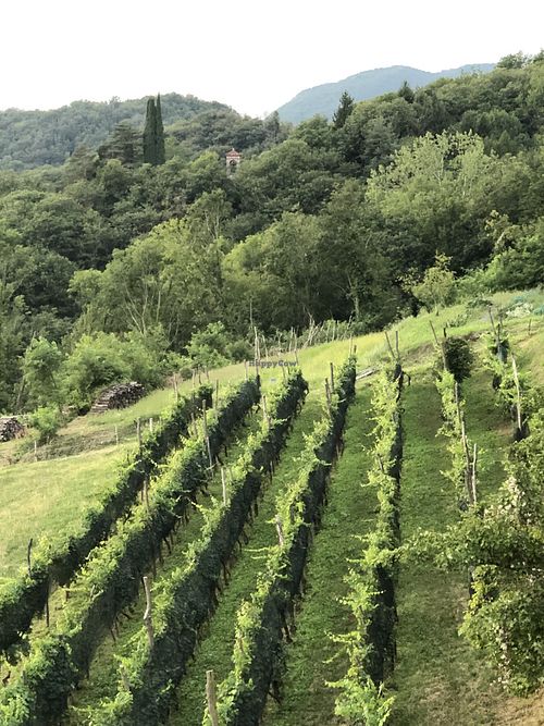 The view from their veranda  at La Dimora del Bardo in Nimis