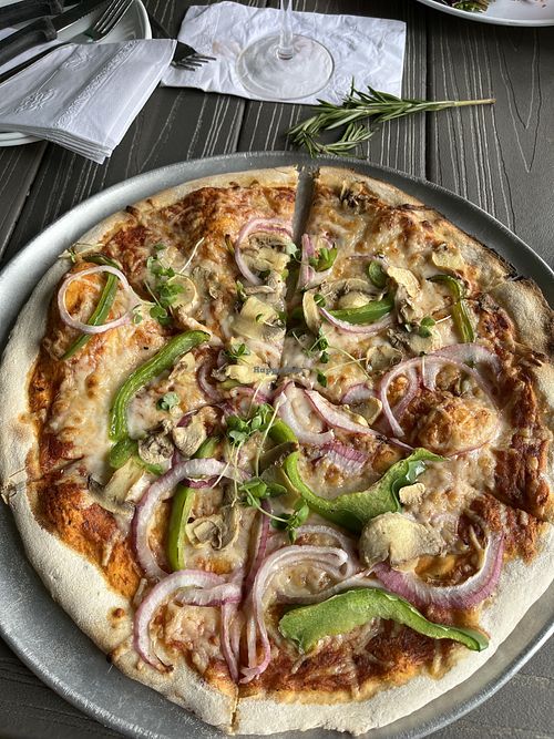   at Shotti's Point in Ocean City