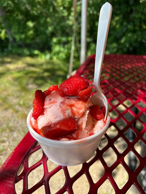 Kiddie sized vegan strawberry w strawberry topping at Rota Spring Ice Cream in Sterling
