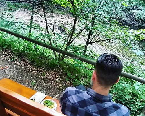 when the weather is good, you can eat outside. the view (bears) is great. at Bistro Bärenblick in Leinefelde-worbis