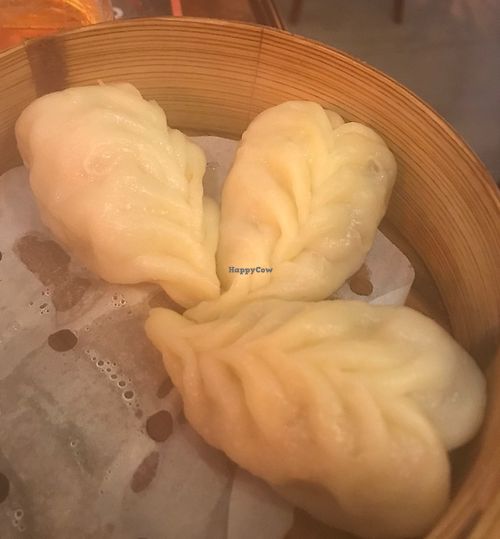 Vegeta ravioli at Ichiban in Padua