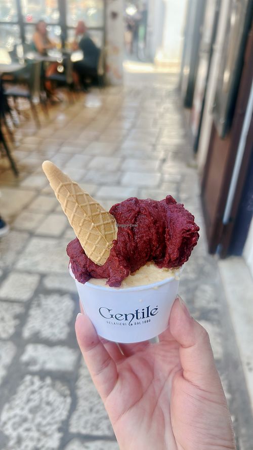 mulberry and Puglian peach  at Gelateria Gentile  in Bari