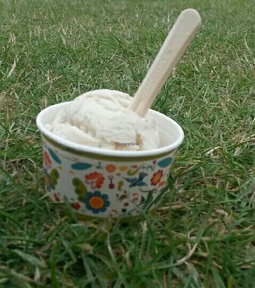Vegan vanilla ice cream in a tub at Street food North East - Ice Garden in Alnwick