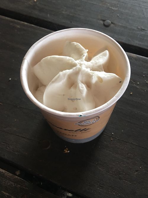Vegan vanilla tub at Street food North East - Ice Garden in Alnwick