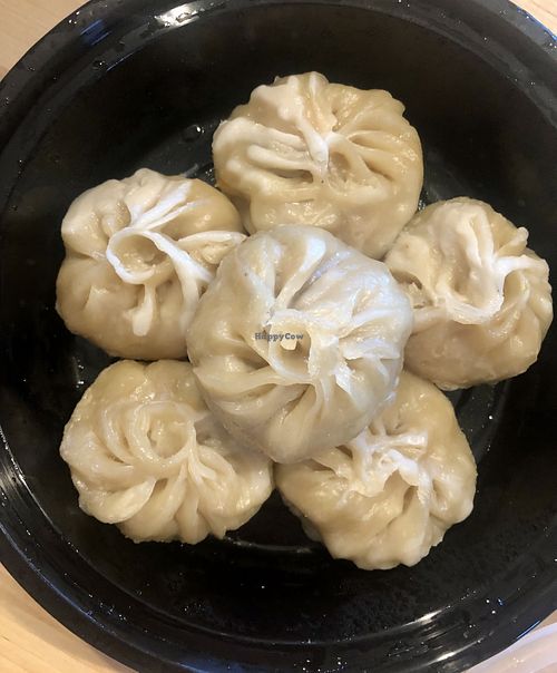 Fried Vegetable Dumplings at Hunan Garden in Sykesville