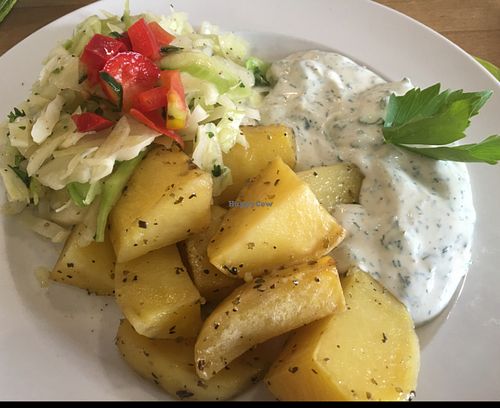 quick lunch / diner at Bio-Insel Stralsund in Stralsund