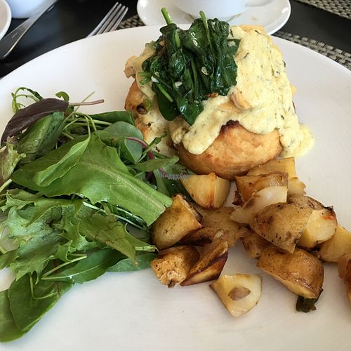 Tofu Benedict at True Bistro in Somerville