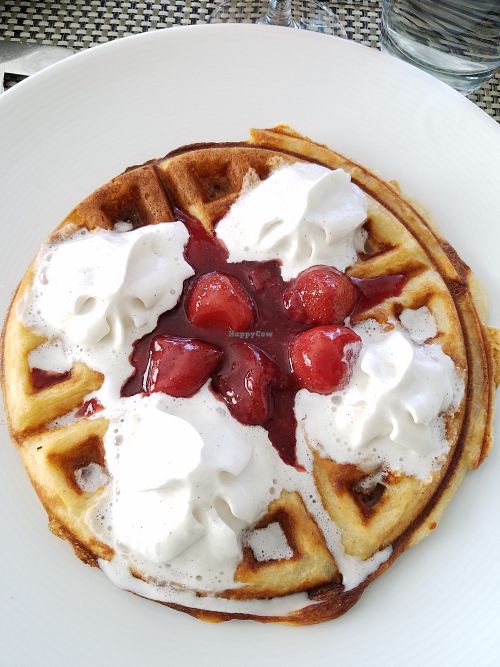 Strawberry Waffle at True Bistro in Somerville