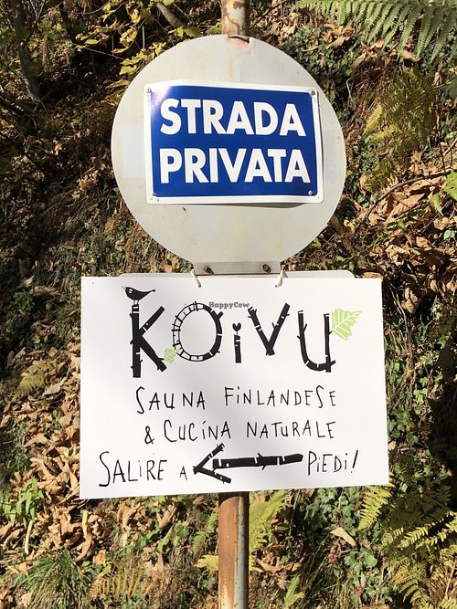 Going up there  at Koivu in Valchiusa