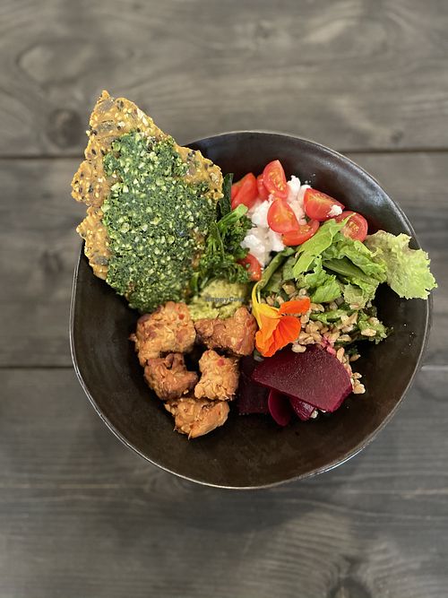 Vegan, organic, gluten- and canola oil free! Crsip bread with kale pesto, pea tempeh, almond feta cheese at Salthamn Wild Food Cafe in Visby