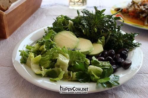 Salad of mountain greens, lettuce, avocado, olives. at To Stachi in Crete