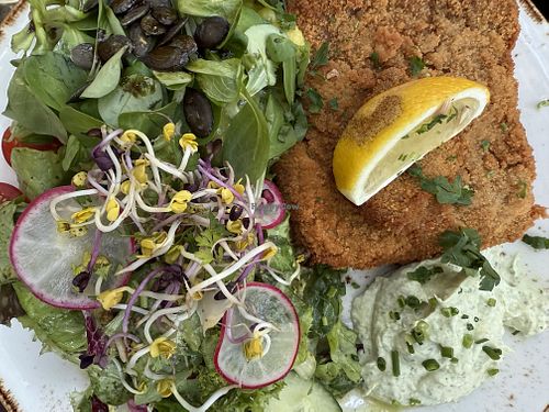 schnitzel  at Max Pett in Munich