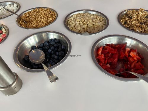 Toppings Bar at Fuse Frozen Yogurt in Saint Simons Island