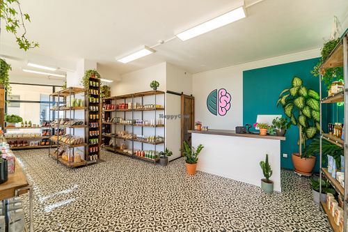 Interior view from the store at BioLogico in Aljezur