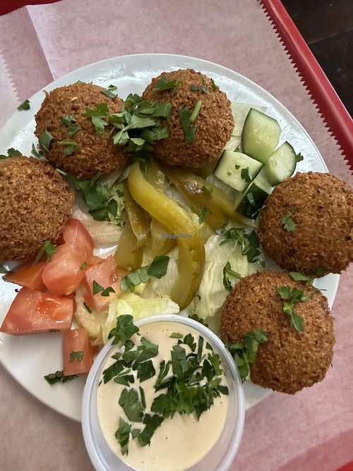 Regular falafel- vegan and gluten free!  at Master Falafel in Rochester