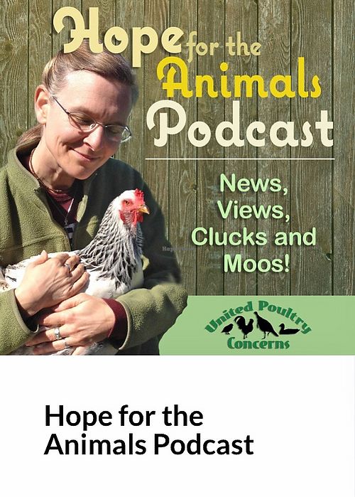 Podcast at Compassionate Living in Santa Rosa