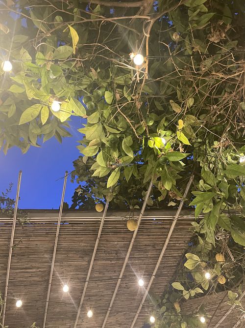 Garten   at Matre in Gallipoli