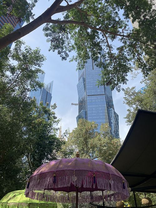 Garden in the city  at Twisted Olive  in Doha