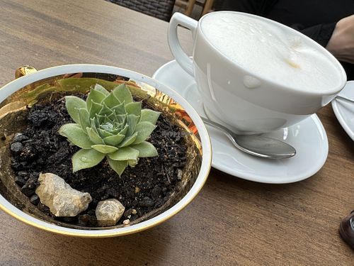 table  at Heilemann in Fulda