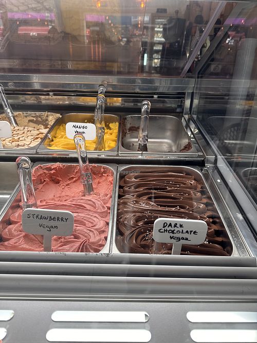   at Gaeta Gelato in Reykjavik