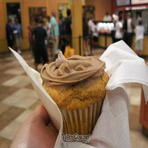 vanilla cupcake with chocolate frosting (vegan) at BabyCakesNYC - Downtown Disney in Lake Buena Vista