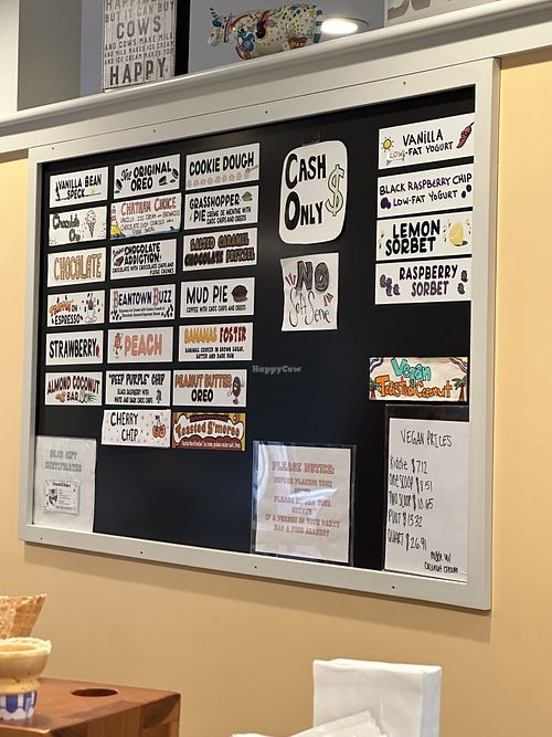 Flavors- 1 vegan ice cream  at Emack & Bolio's Ice Cream in Chatham