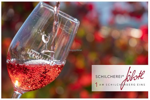 Darf's ein Glaserl Wein sein? at Weingut Jöbstl in Wernersdorf