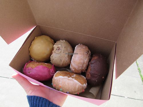 These donuts were so amazing!! Even my non-vegan mother enjoyed them! So delicious and cakey!! My favorites were the one with the oreos on top and the coffee one (normally not a big coffee fan but it was delicious!) at Pepples Donut Farm in Berkeley