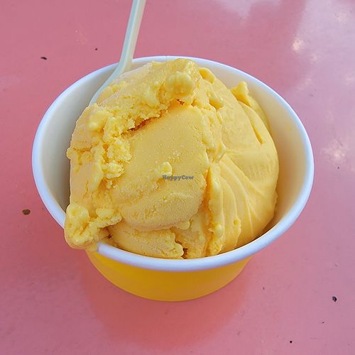 Nectarine Saffron at Ramblin' Rose  in Portland