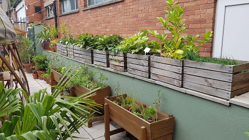 Outer garden at Eartha in Cardiff