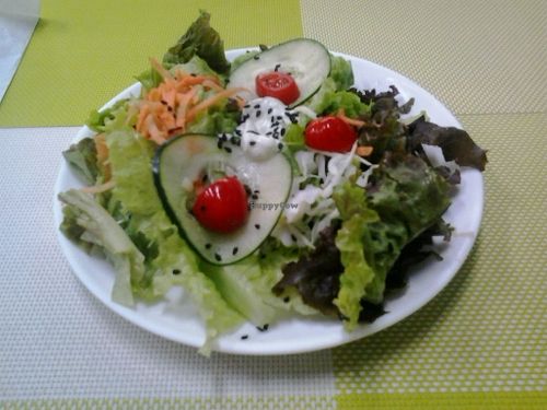 Salad at Rio Vegetariano in Rio De Janeiro