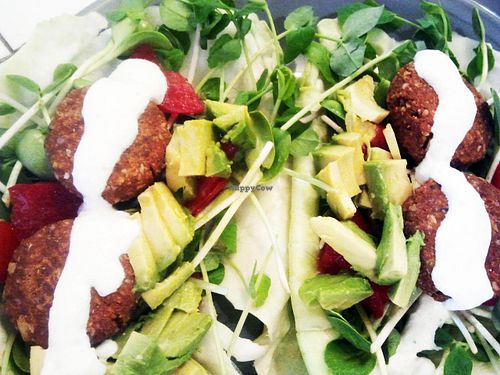 raw falafel at Raw Love in Eugene