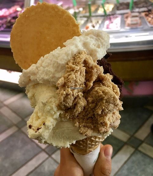Vanilla, almond gelato with soy cream and vegan cookie at Gelarmony - Marcantonio Colonna in Rome