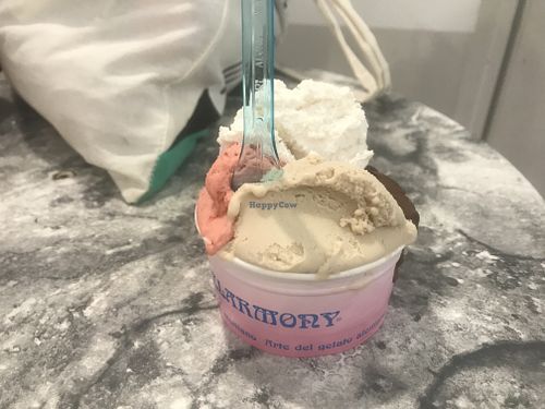 Vegan options at Gelarmony - Marcantonio Colonna in Rome
