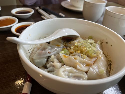 Dumplings in hot and spicy sauce   at Veggie Kingdom 緻素坊 in Kowloon