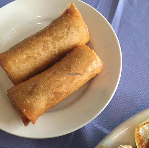 spring rolls  at New Harmony Vegetarian Restaurant in Philadelphia