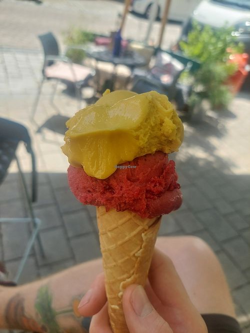 Mango & Erdbeere-Camarosa at Paletti Eismanufaktur in Pottenstein